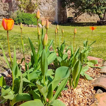 Janot - Casa Con Jardin Cerca Del Ferienhaus